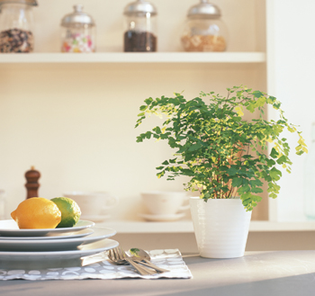 上之島町南2丁目